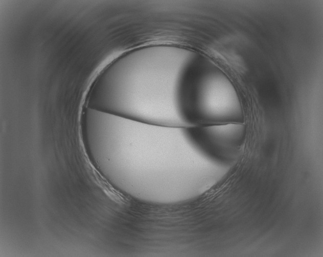 X0000051911427200507011522