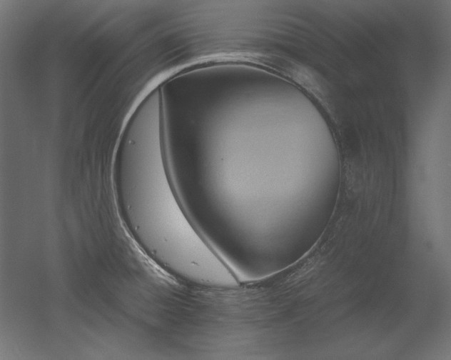 X0000051911428200507011522