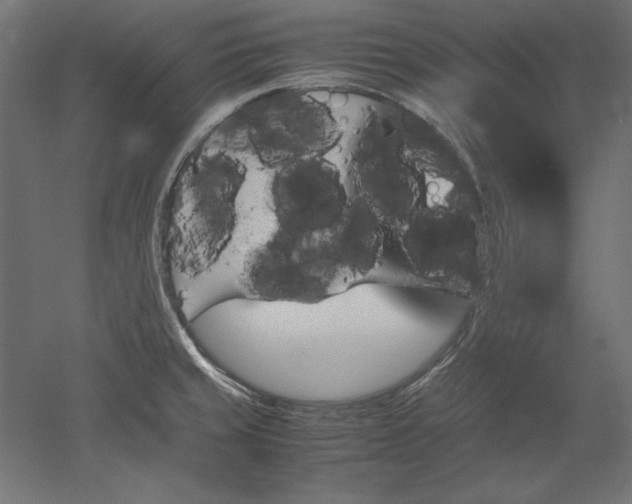 X0000051911429200507011522