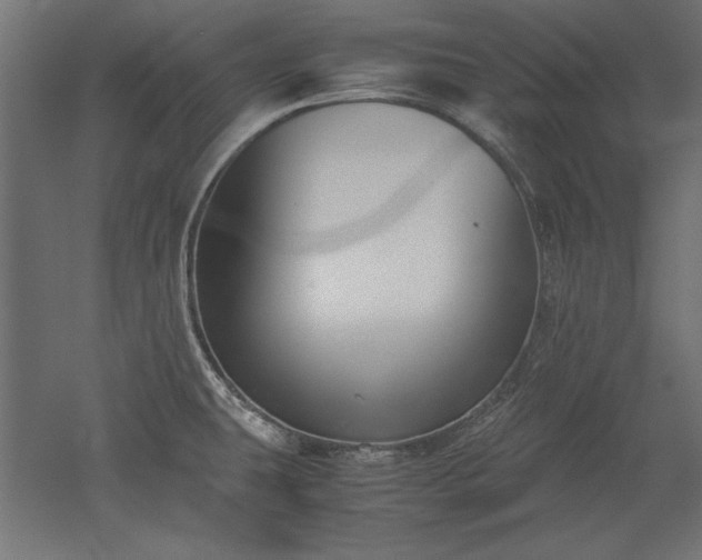 X0000051911431200507011522