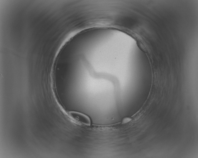 X0000051911432200507011522