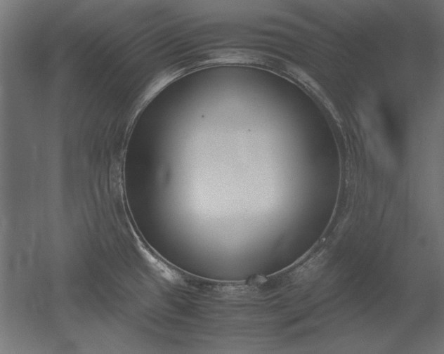 X0000051911433200507011522