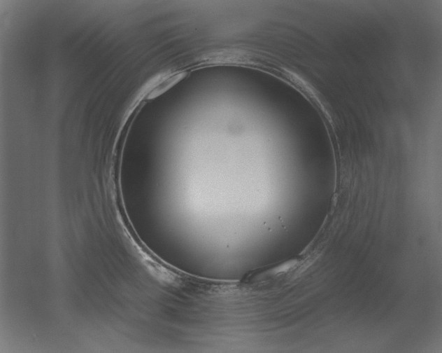 X0000051911434200507011522