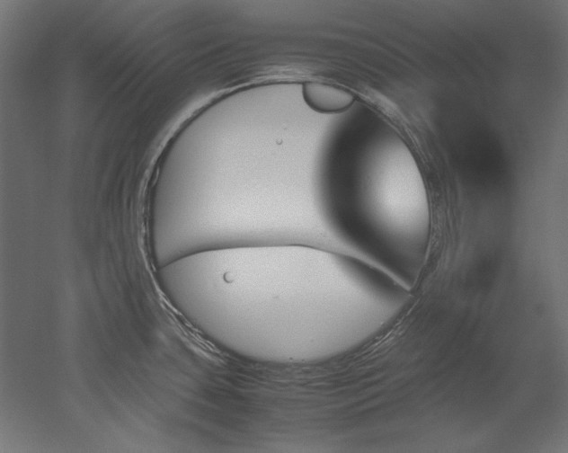 X0000051911435200507011522