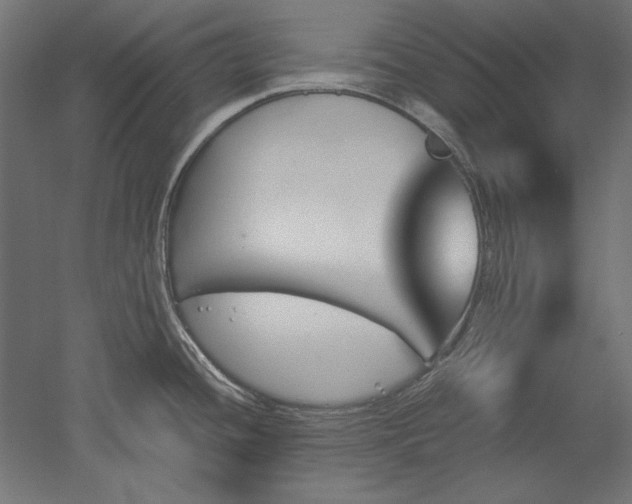 X0000051911436200507011522