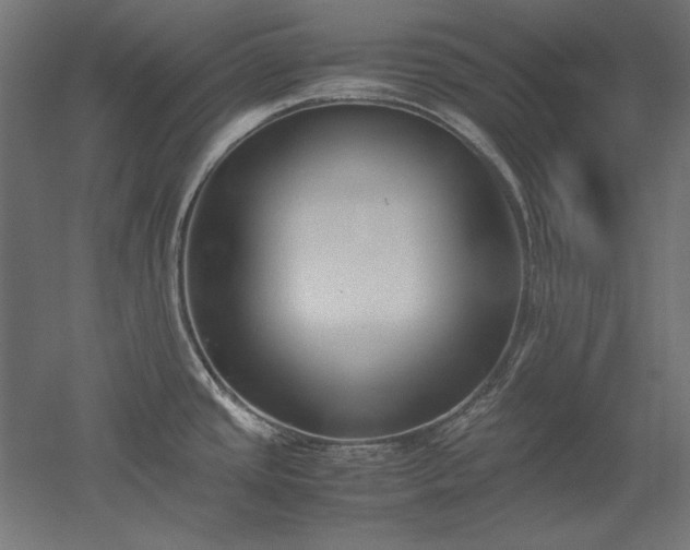 X0000051911437200507011522