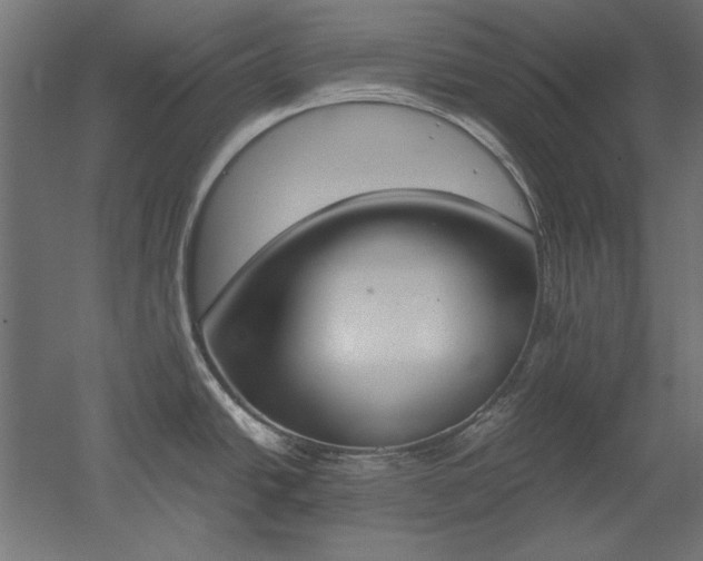 X0000051911438200507011522