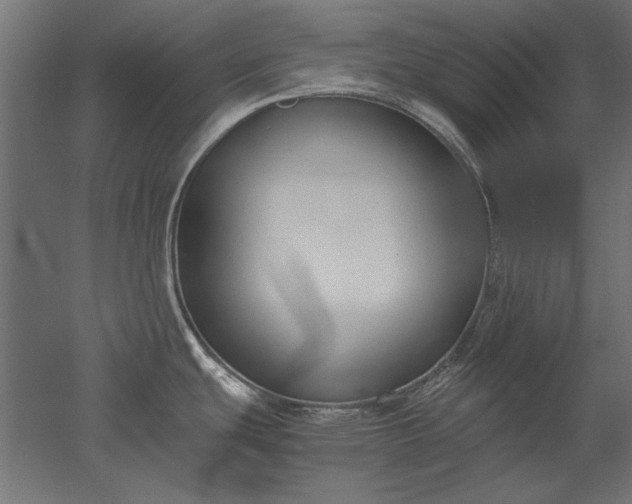 X0000051911439200507011522