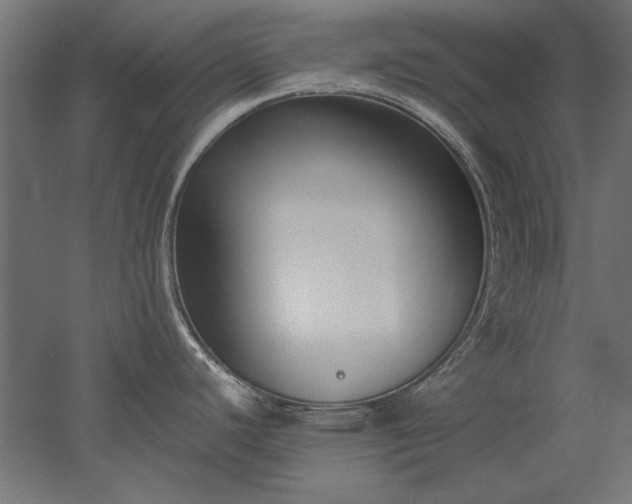 X0000051911440200507011522