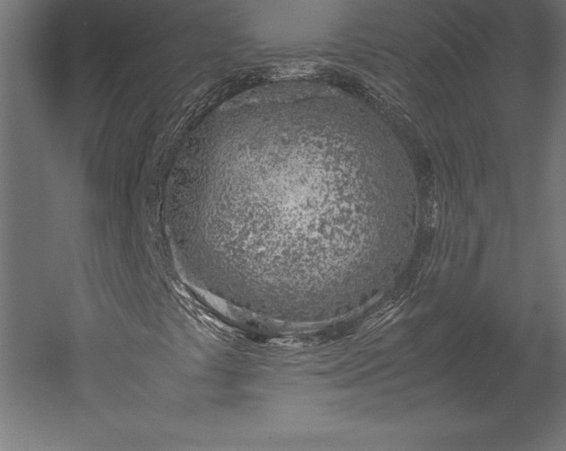 X0000051911441200507011521