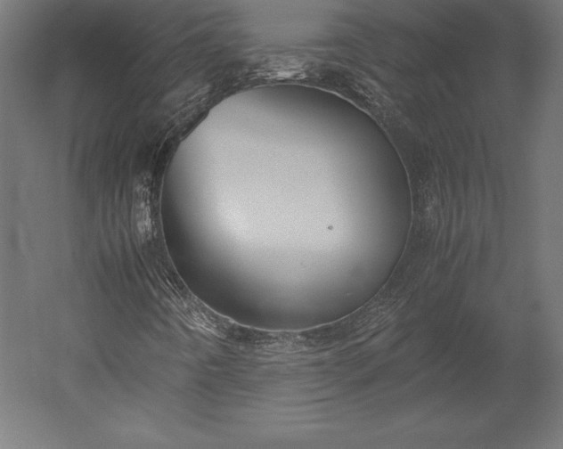 X0000051911442200507011521