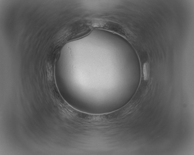 X0000051911443200507011521