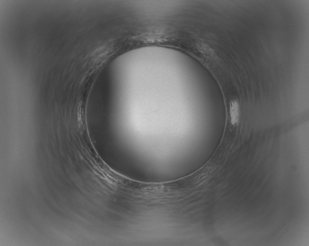 X0000051911444200507011521