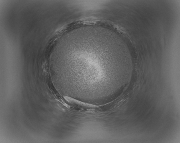 X0000051911445200507011521