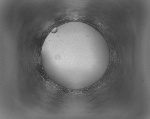 X0000051911446200507011521