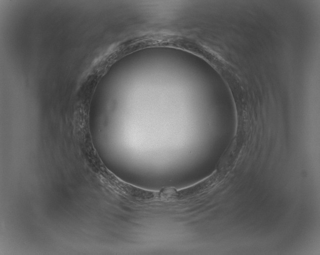 X0000051911447200507011521