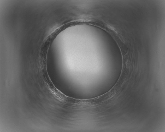 X0000051911448200507011521