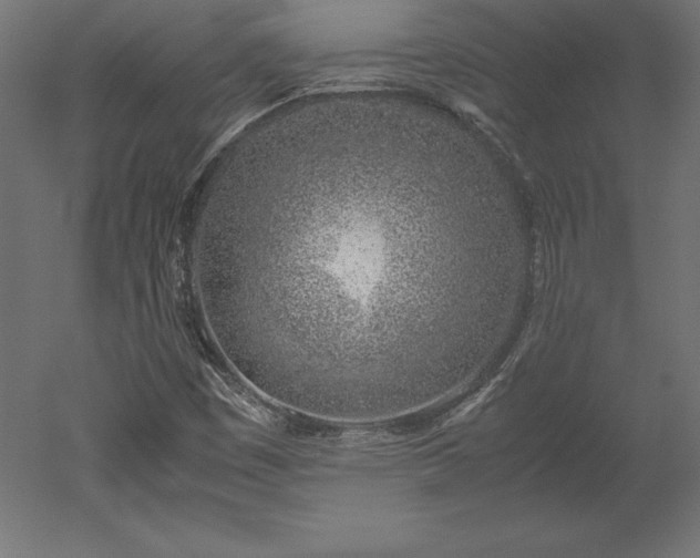 X0000051911449200507011521