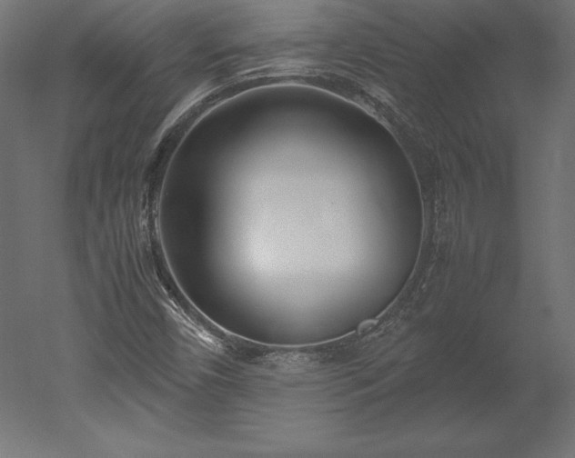 X0000051911450200507011521