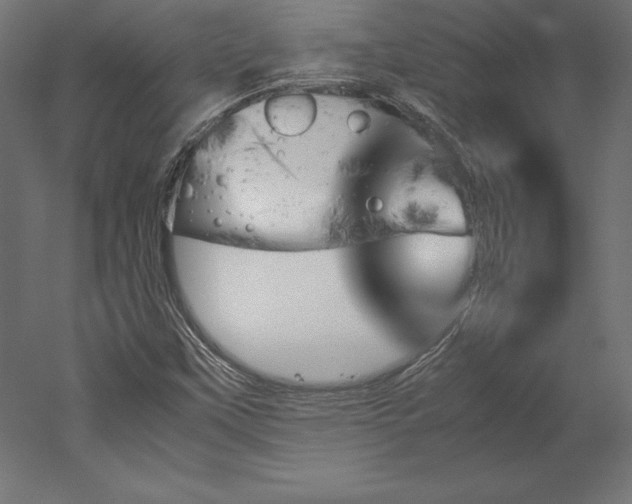 X0000051911451200507011521