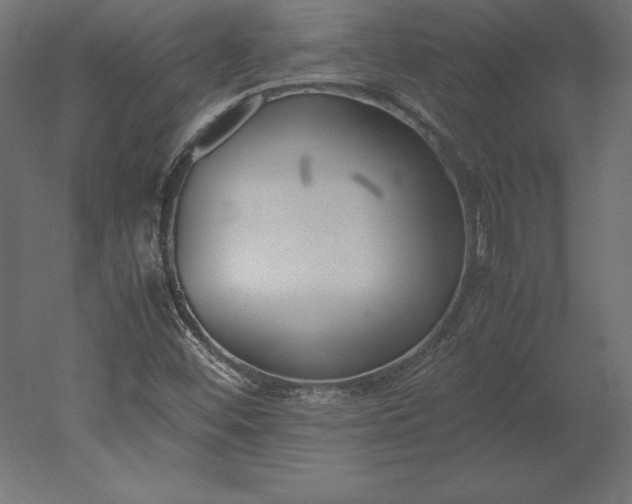 X0000051911452200507011521