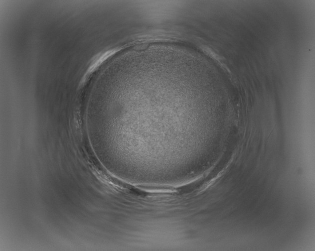 X0000051911453200507011521