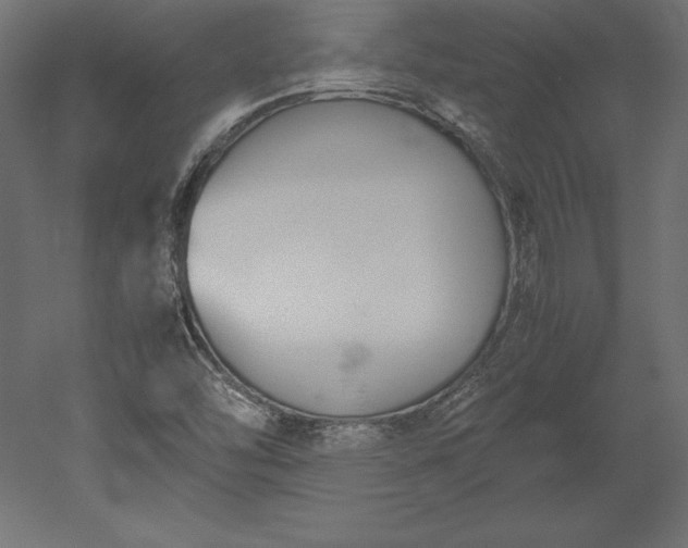 X0000051911454200507011521