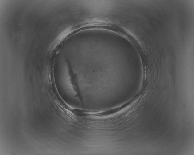 X0000051911455200507011521