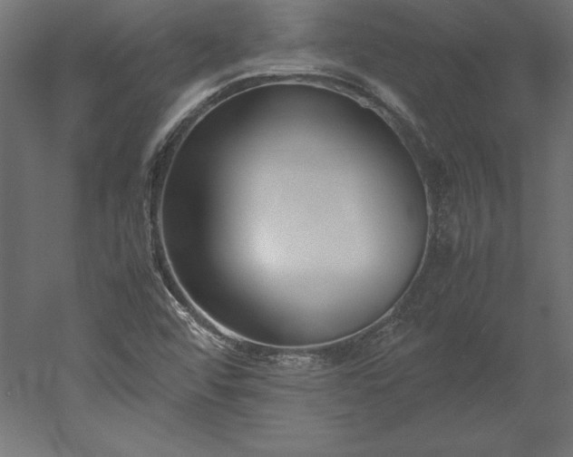 X0000051911456200507011521