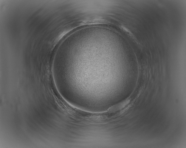 X0000051911457200507011521