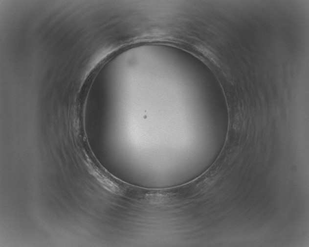 X0000051911458200507011521