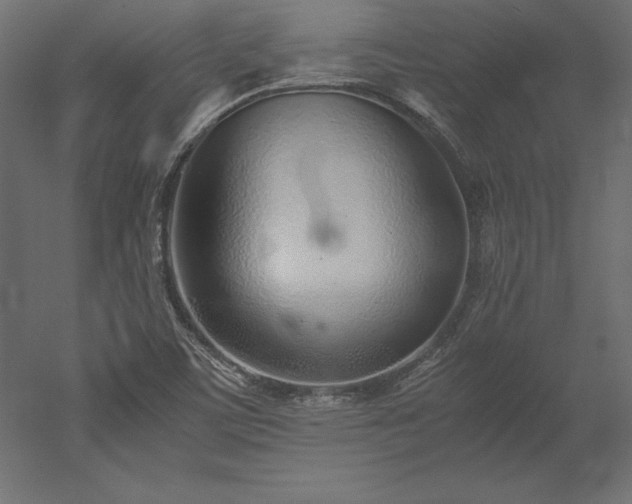 X0000051911459200507011521