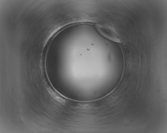 X0000051911460200507011521