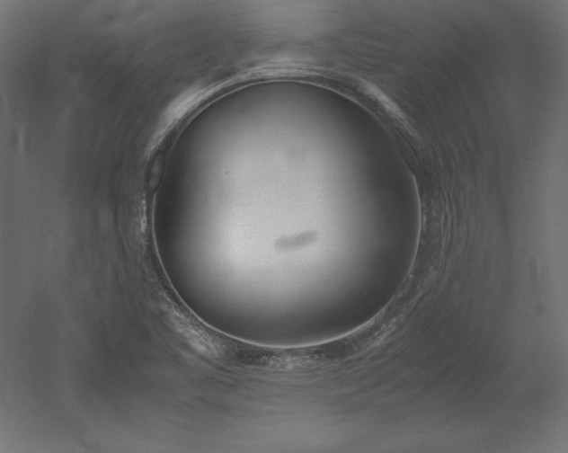 X0000051911461200507011521