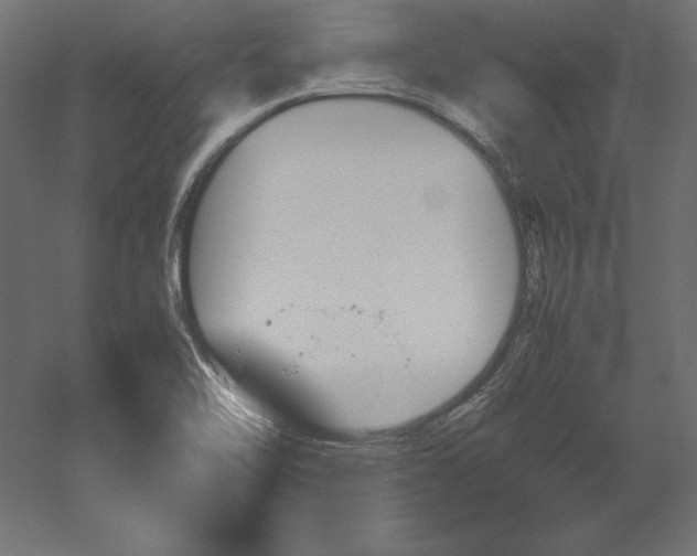 X0000051911462200507011521