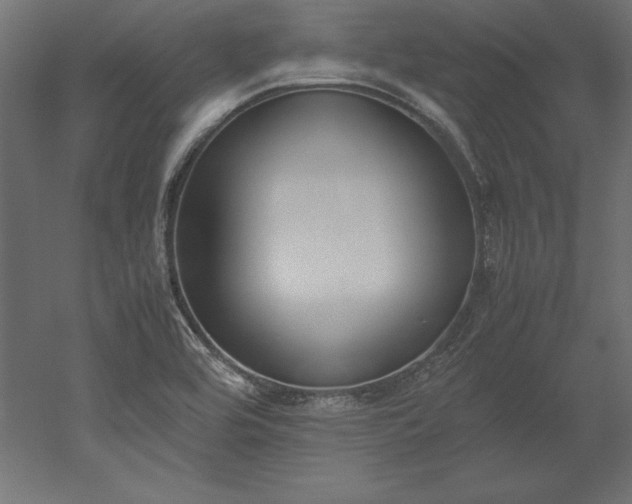 X0000051911464200507011521