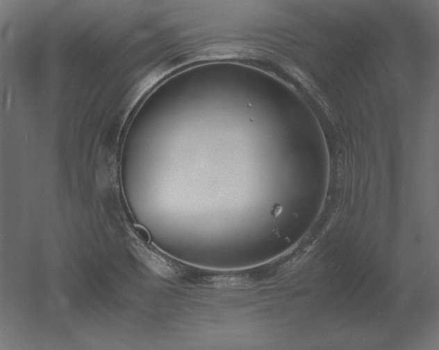 X0000051911465200507011521