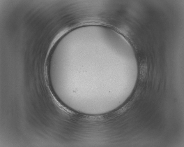 X0000051911466200507011521