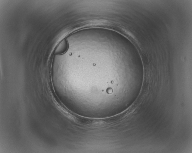 X0000051911467200507011521