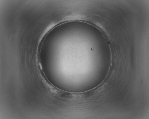 X0000051911469200507011521