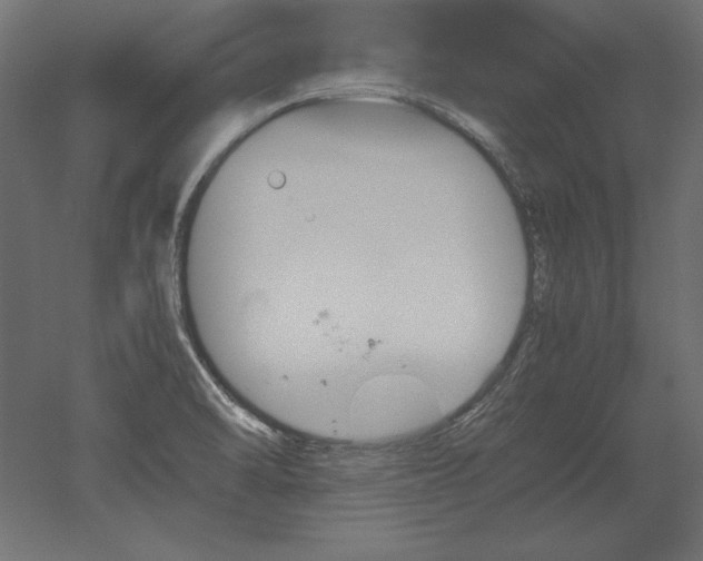 X0000051911470200507011521