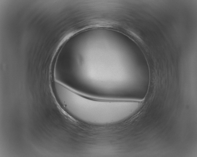 X0000051911471200507011521