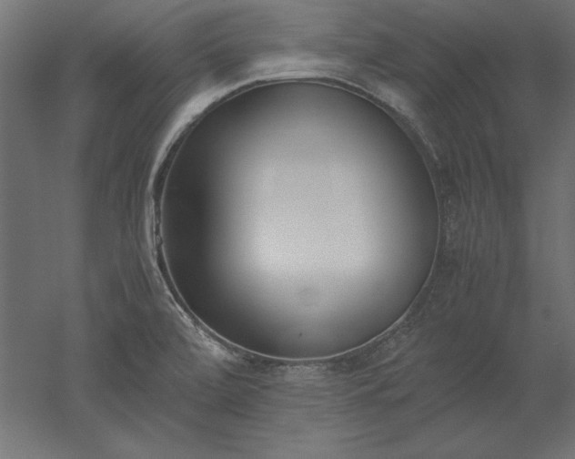 X0000051911472200507011521