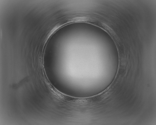 X0000051911473200507011521