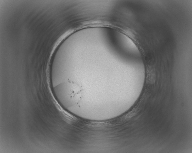 X0000051911474200507011521