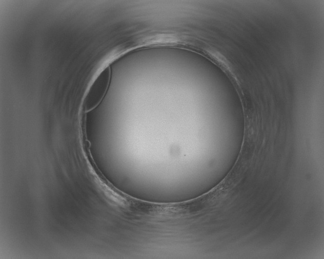 X0000051911475200507011520