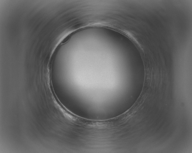 X0000051911476200507011520