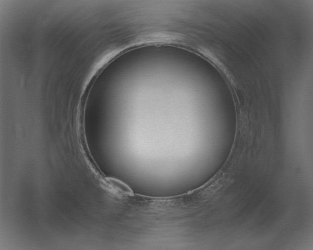 X0000051911477200507011520