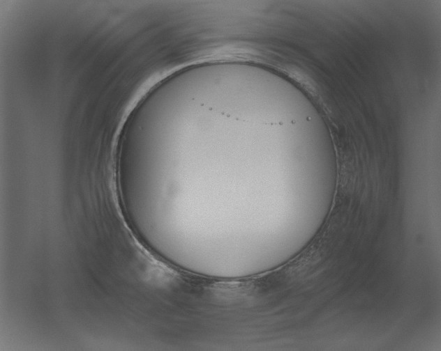 X0000051911478200507011520