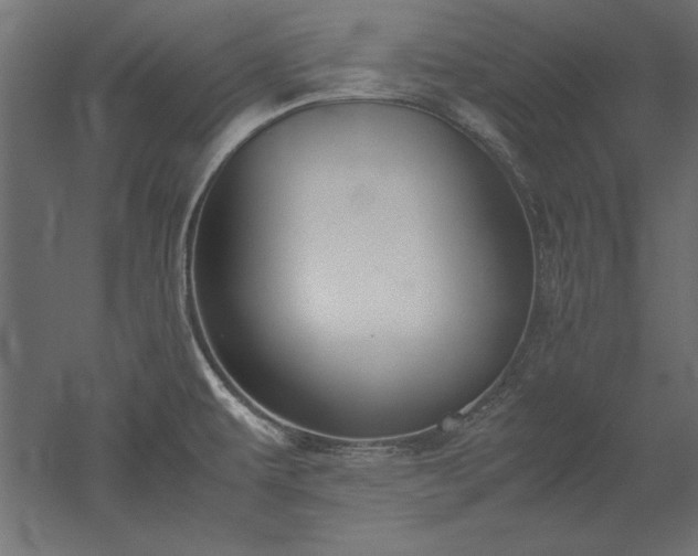 X0000051911479200507011520